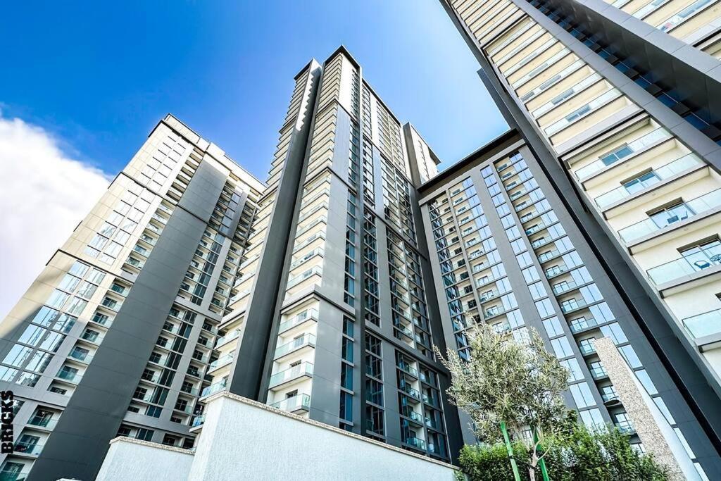 Sleek One Bed Sobha Vistas A1302 Dubai